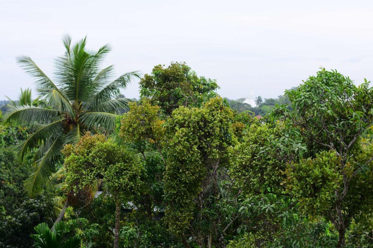 Heritage Eco Resort Kelaniya Extérieur photo